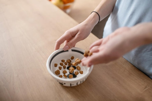 How to Rotate Dog Treats Without Upsetting Digestion