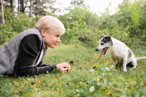 What to Know About Natural Chews for Senior Dogs