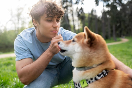 Why Dogs Enjoy Chews That Match Their Natural Instincts
