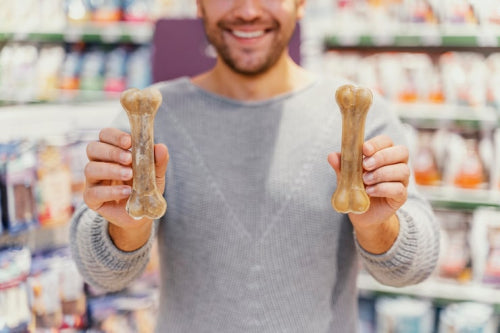 How to Store Natural Dog Treats Properly
