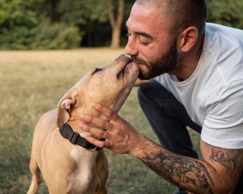 What to Look for in Long-Lasting Dog Chews