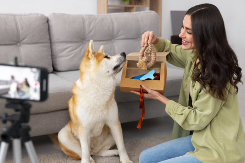 How to Compare Grain-Free Dog Treat Options