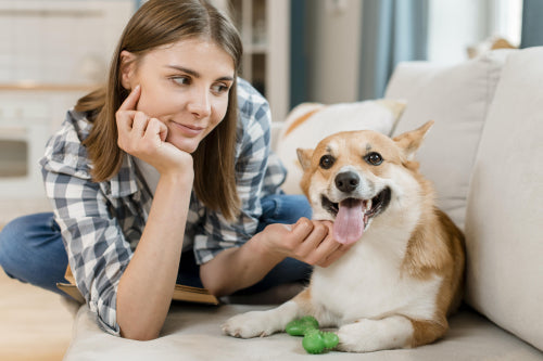 How to Choose Chews for Dental Health and Enrichment