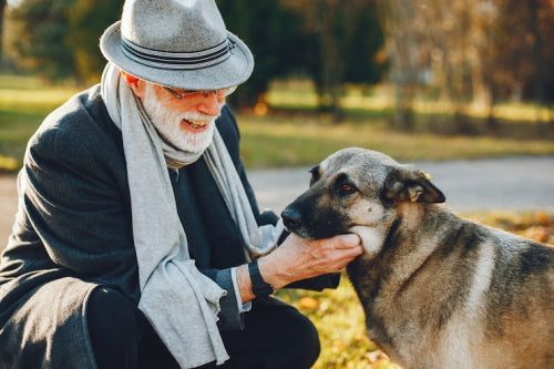 How to Select Natural Treats for Senior Dogs