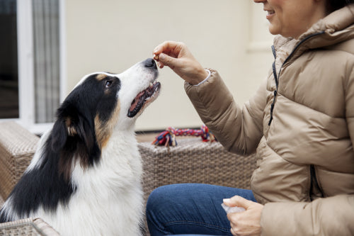 What to Consider Before Choosing High-Protein Dog Chews