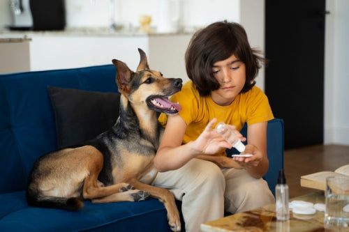 How to Compare Dog Treats for Picky Eaters