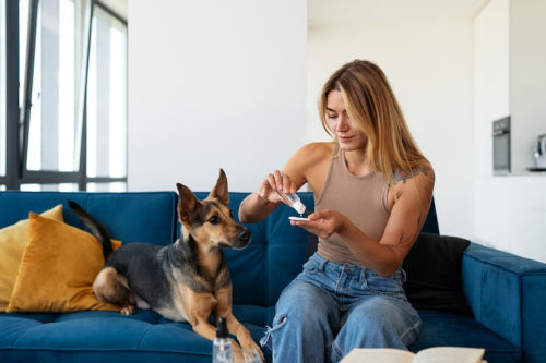 How to Choose Dog Treats That Support Joint Health