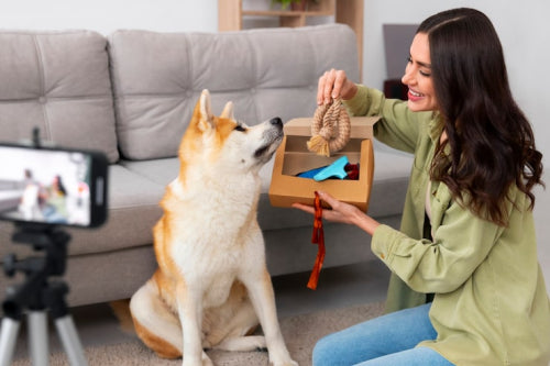 How to Select Dog Chews for Training and Rewards