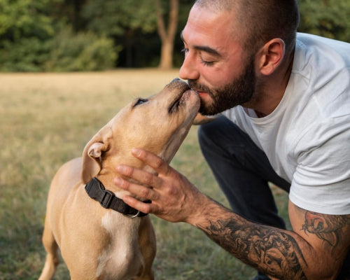 What Defines Quality in Long-Lasting Dog Chews