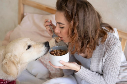 How Grain-Free Dog Treats Fit Sensitive Feeding Routines