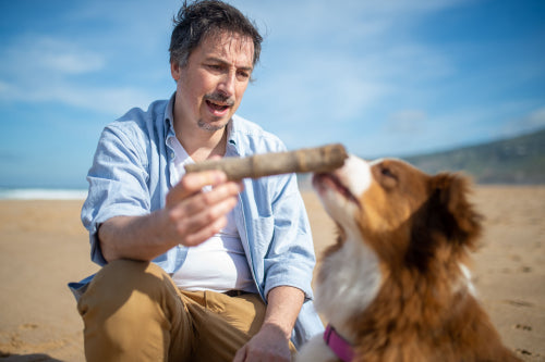 What Makes Collagen Sticks Useful for Joint-Focused Treat Routines