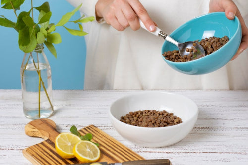 What Makes Fresh Pet Food Different From Traditional Kibble