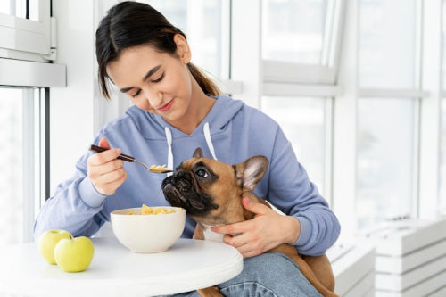 How Proper Nutrition Supports Healthy Dogs and Cats