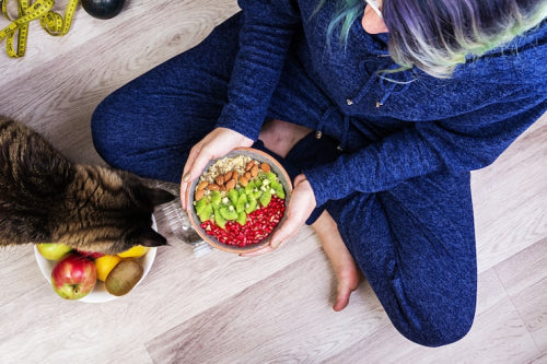 How Fresh Food Supports Healthy Digestion in Pets
