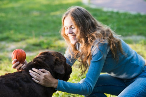 How Balanced Nutrition Supports Active Pets