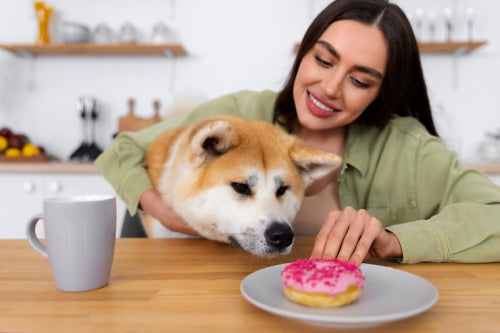 Why Dogs Thrive on Minimally Processed Foods