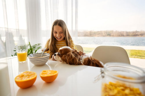 How Fresh Meals Support Long-Term Pet Wellness