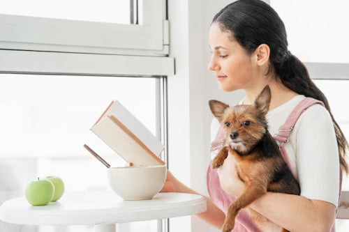How Fresh Diets Support Healthy Weight Management for Pets