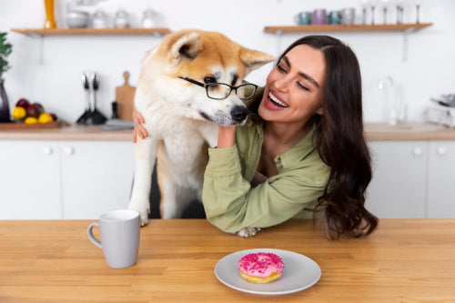 How Healthy Nutrition Supports Happy Pets