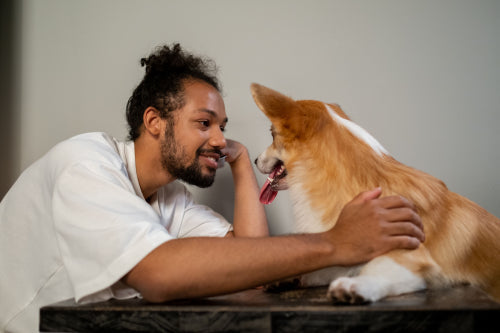 What Makes Premium Pet Nutrition Worth Understanding