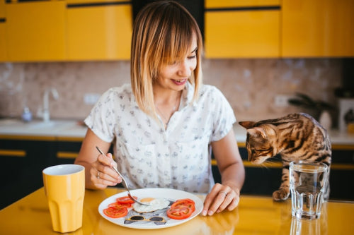 How Everyday Feeding Choices Influence Pet Health