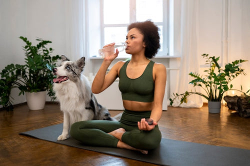 How Natural Ingredients Complement Pet Wellness