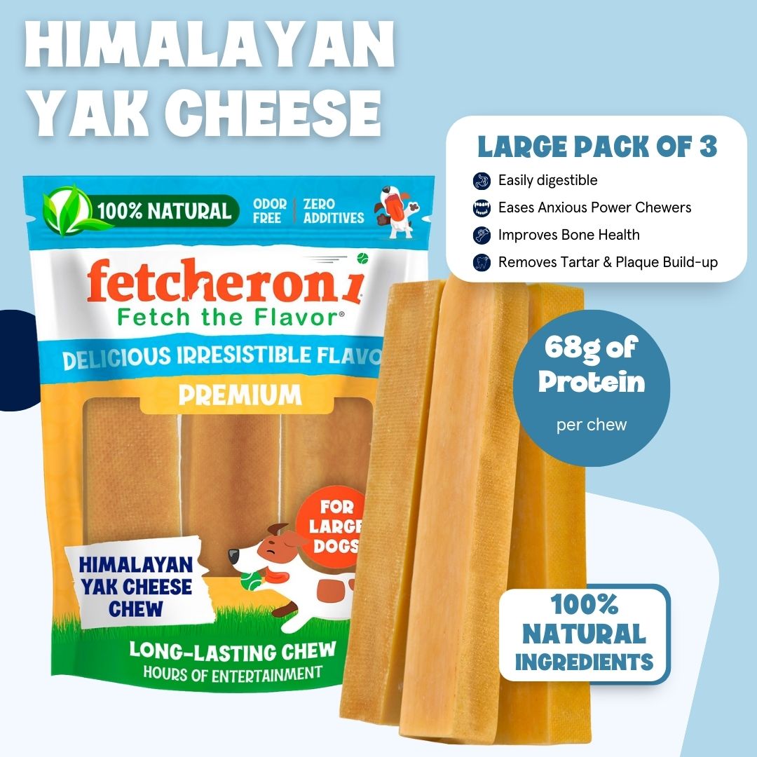 Huge Harley Starter Pack