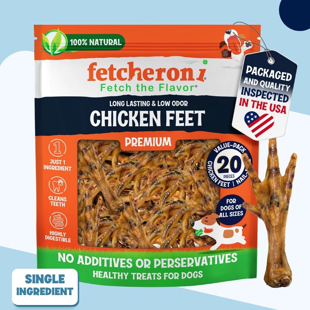 Huge Harley Starter Pack