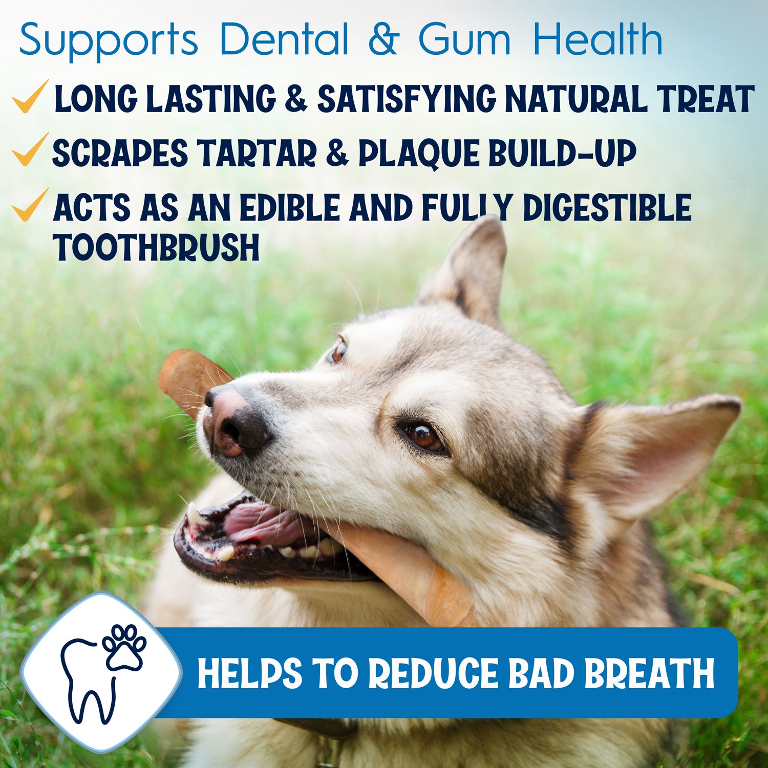 12-Inch Beef Collagen Sticks