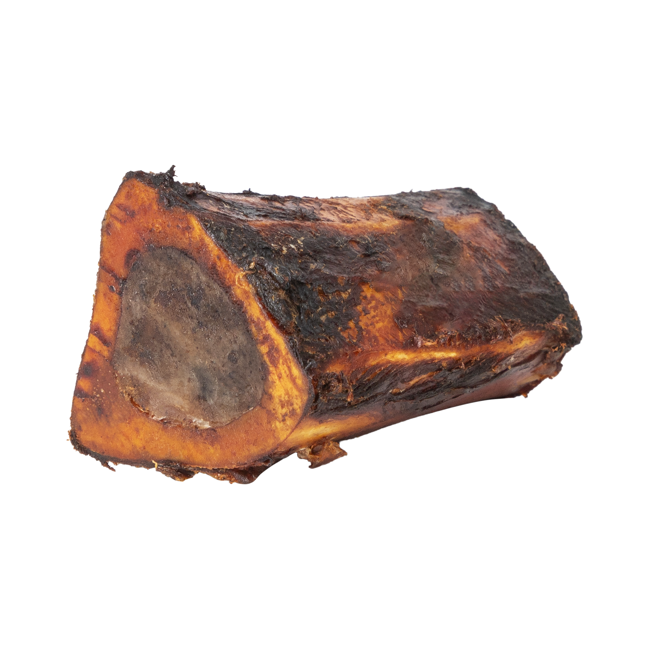A raw dog bone chew, showing the natural textured outer surface and a cross-section of the bone, isolated on a white background.
