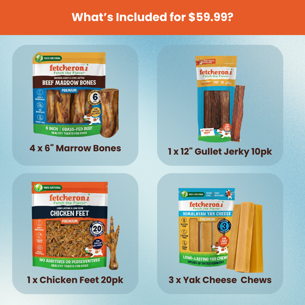 Huge Harley Starter Pack