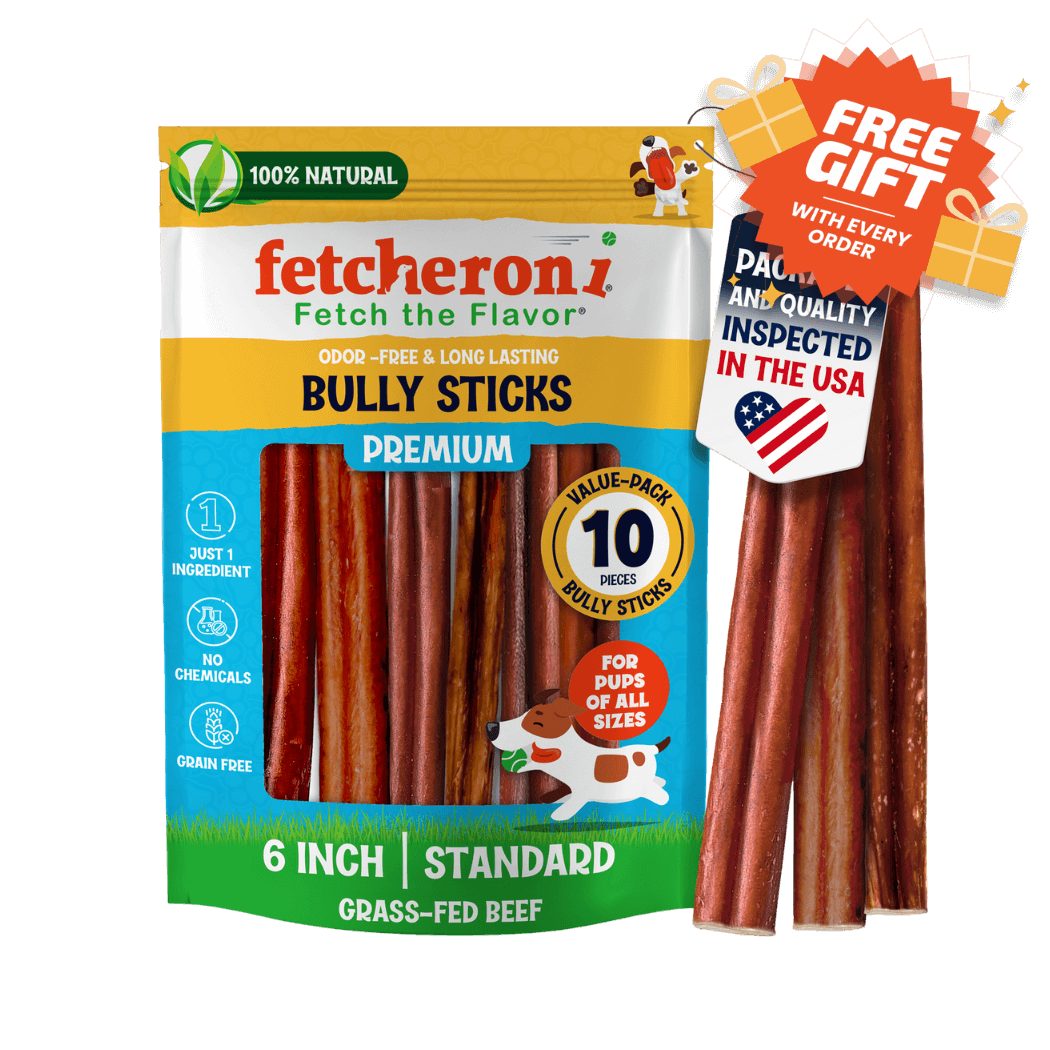6 inch / 10 pk